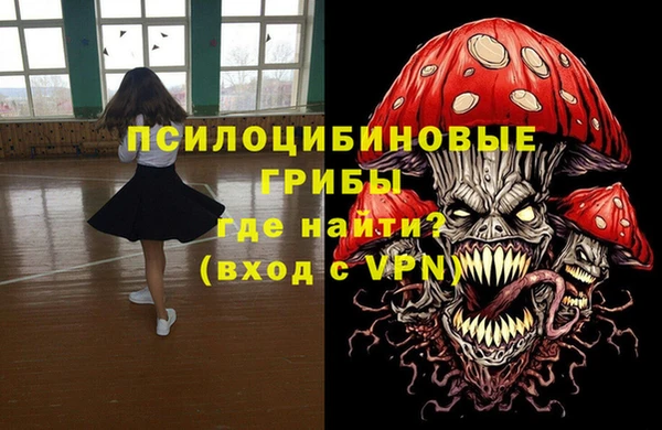 прущие грибы Аркадак