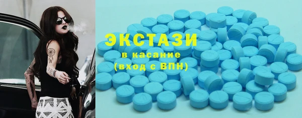 прущие грибы Аркадак