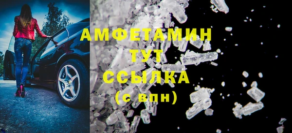 прущие грибы Аркадак