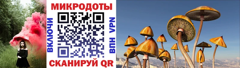 Галлюциногенные грибы Psilocybe  KRAKEN как зайти  Новомосковск 